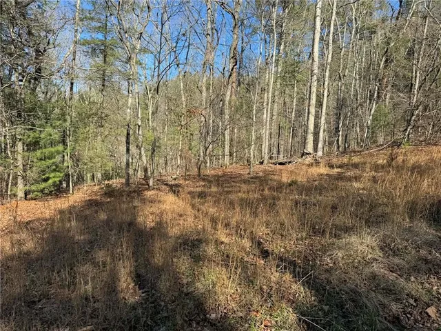 $55,000 | 1769 Longbranch Drive, Ranger, GA 30734