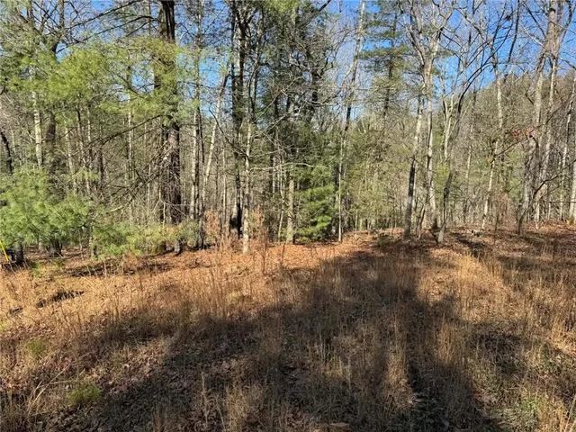 $55,000 | 1769 Longbranch Drive, Ranger, GA 30734