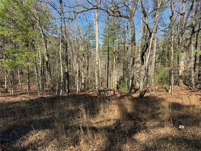 $55,000 | 1769 Longbranch Drive, Ranger, GA 30734