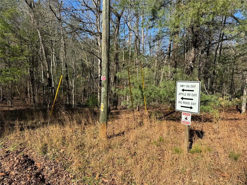 1769 Longbranch Drive Ranger, GA 30734 - Photo 9 of 26