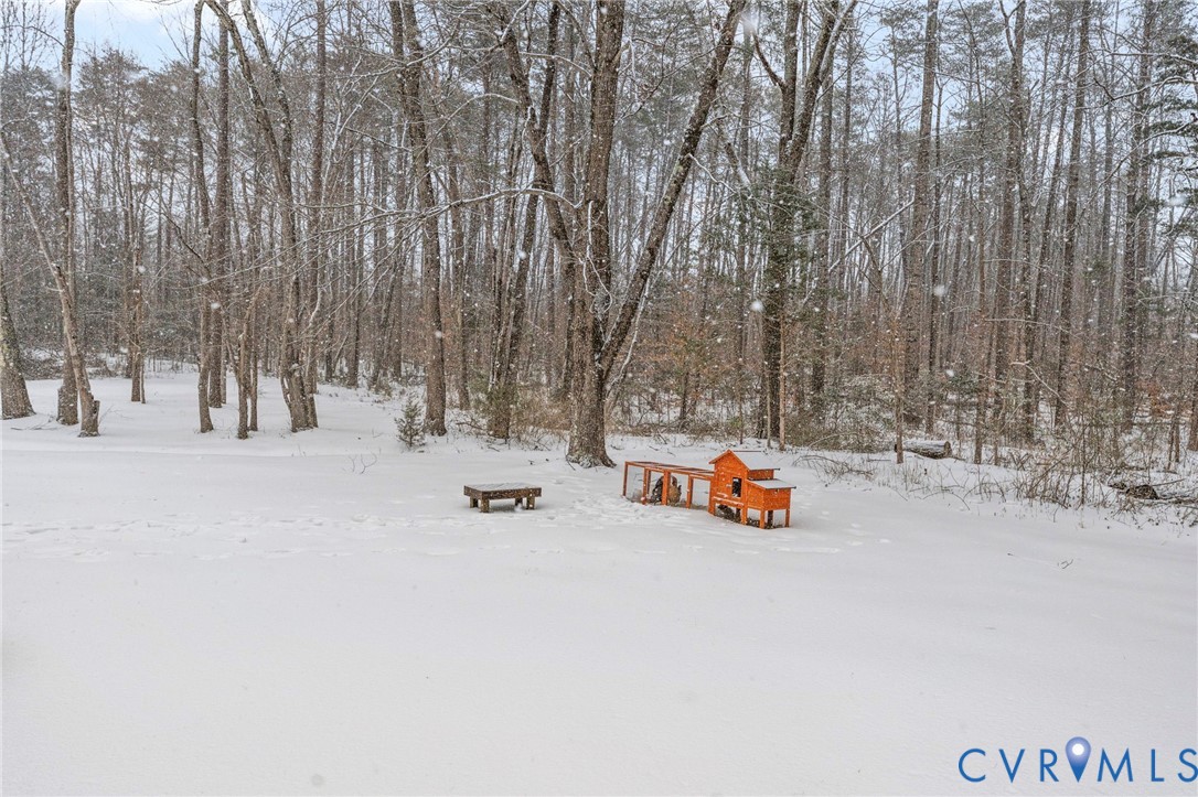 675 Goldmine Road Louisa, VA 23093 - Photo 23 of 29