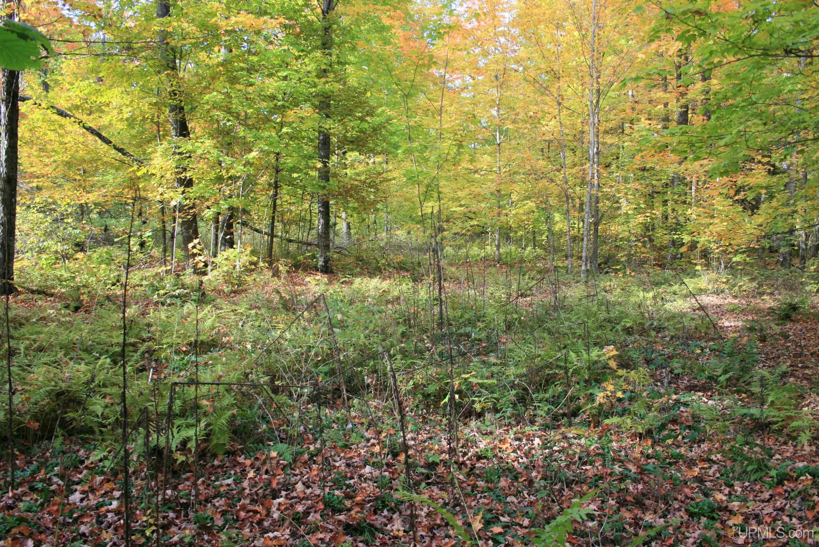 Tbd University Road Iron River, MI 49935 - Photo 9 of 12