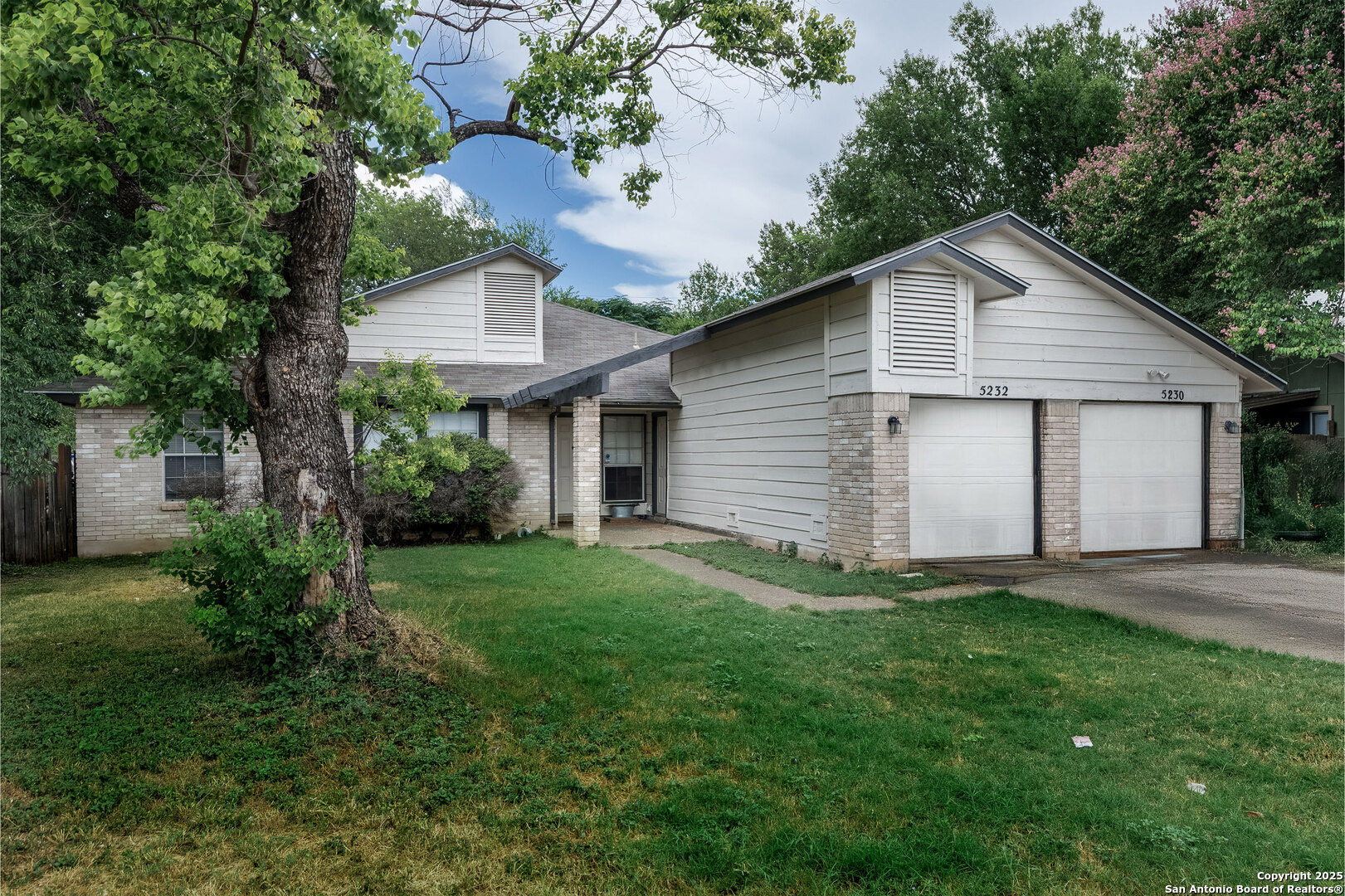5230 Meadow Rise Street San Antonio, TX 78250 - Photo 2 of 30 a view of a backyard with plants and large tree