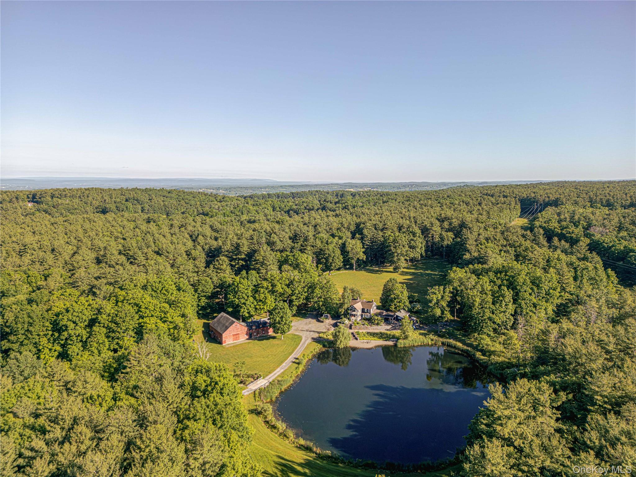 88 Mac Brown Road Claverack, NY 12513 - Photo 6 of 50