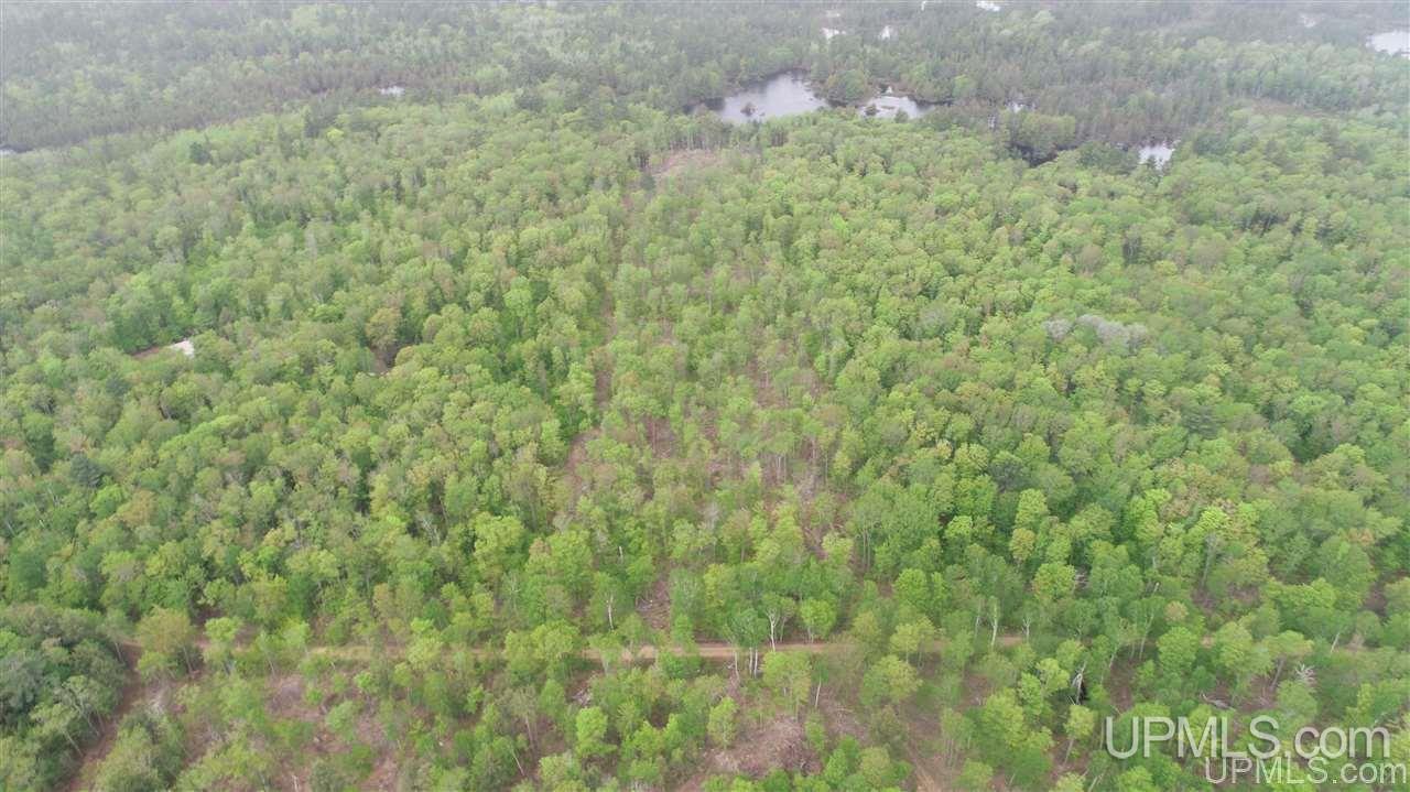 14399 North Maple Block Road Paradise, MI 49768 - Photo 2 of 14