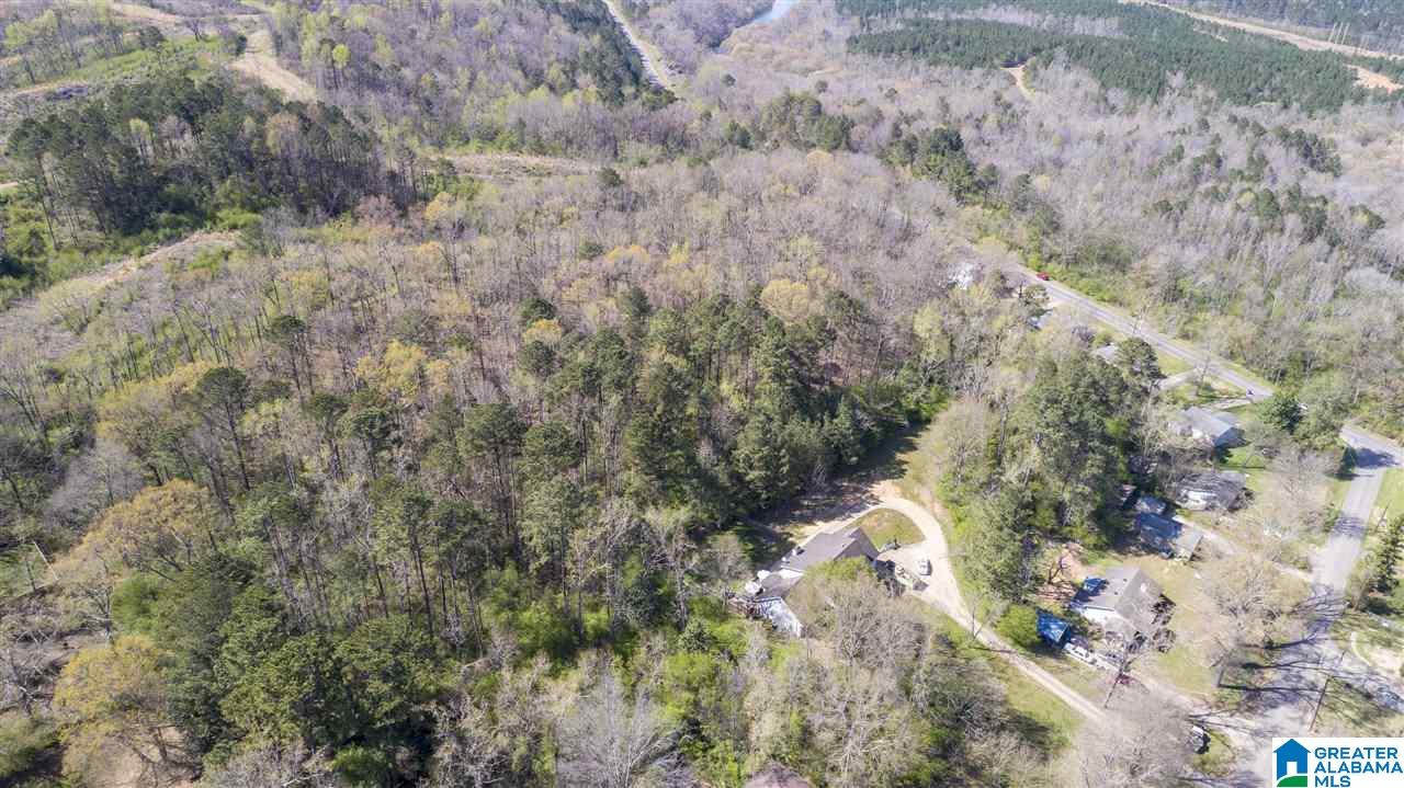 3316 Mulga Loop Road Birmingham, AL 35224 - Photo 40 of 44