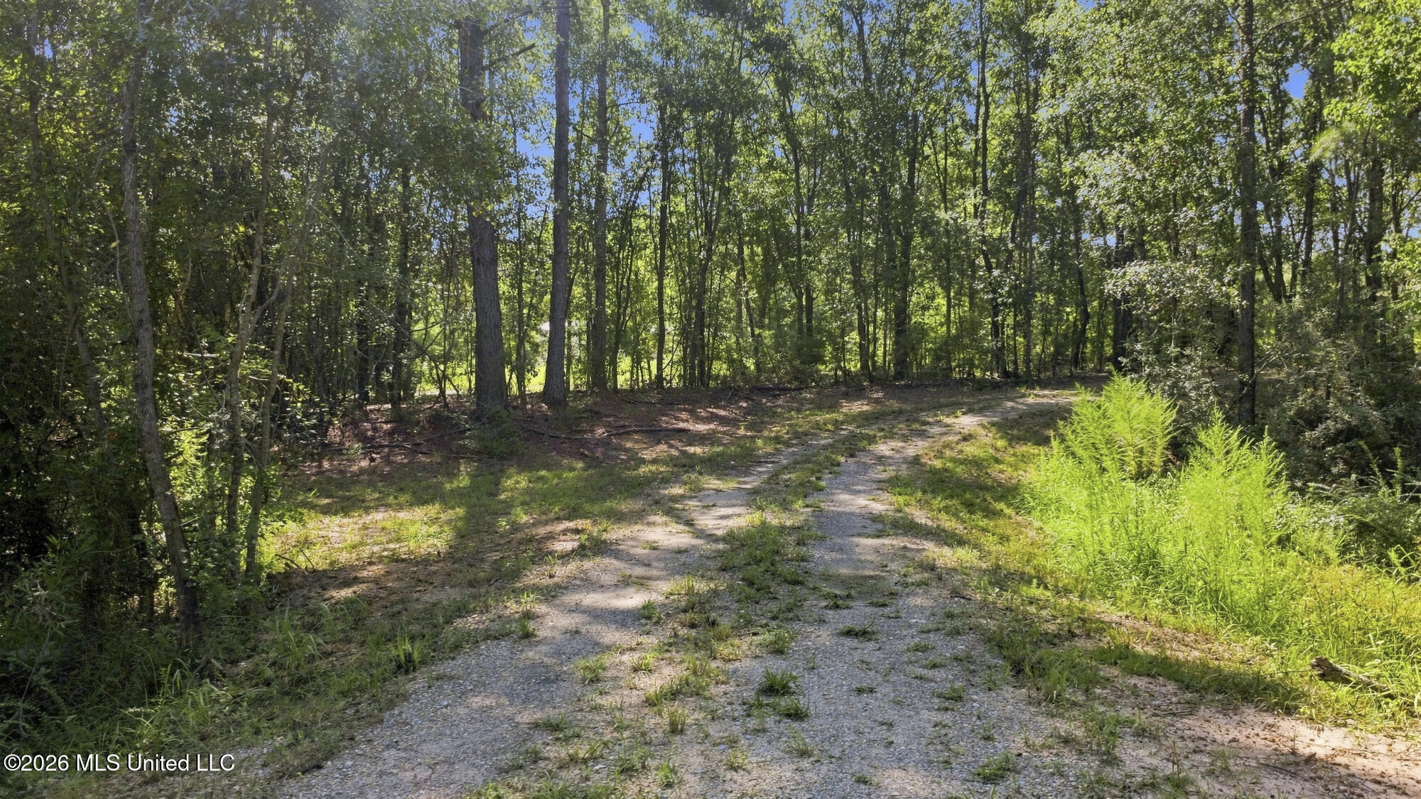 132 Cody Goldman Road Lucedale, MS 39452 - Photo 13 of 48 IMG_1576