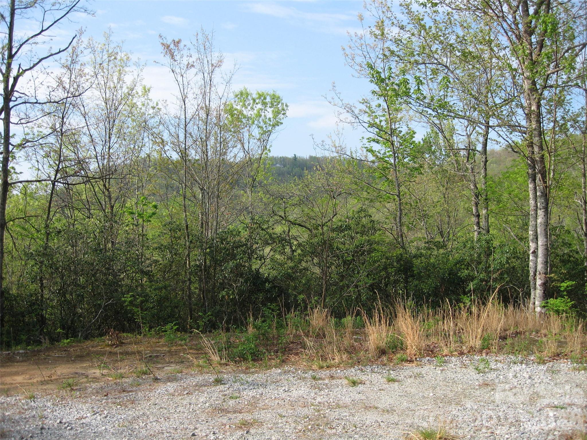 313 Line Runner Ridge Road Brevard, NC 28712 - Photo 4 of 33