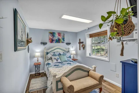 a living room with furniture flowerpot and a window