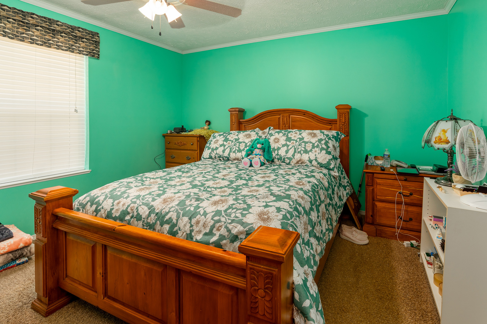8184 Knox Road West Frankfort, IL 62896 - Photo 12 of 36