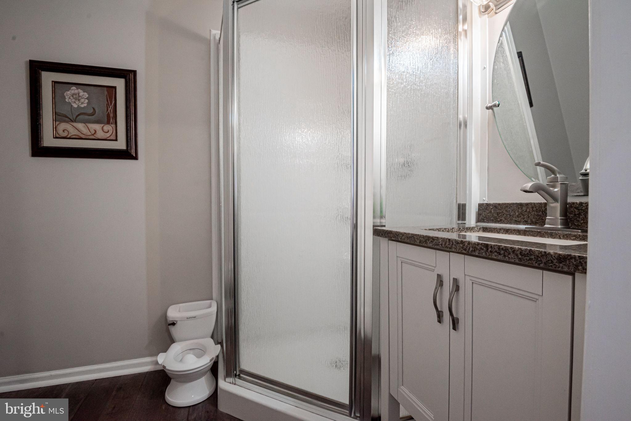 1176 Choptank Road Middletown, DE 19709 - Photo 43 of 49 Lower Level Full Bath