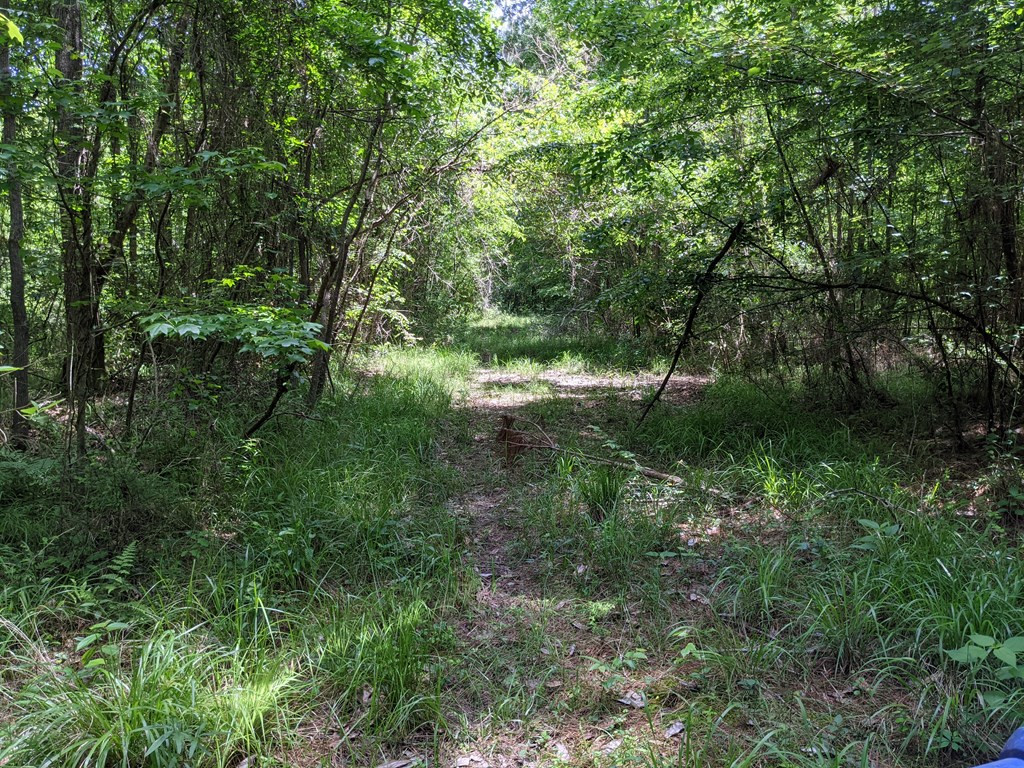 461 East St Stephens Road Prentiss, MS 39474 - Photo 18 of 50 Photo 18