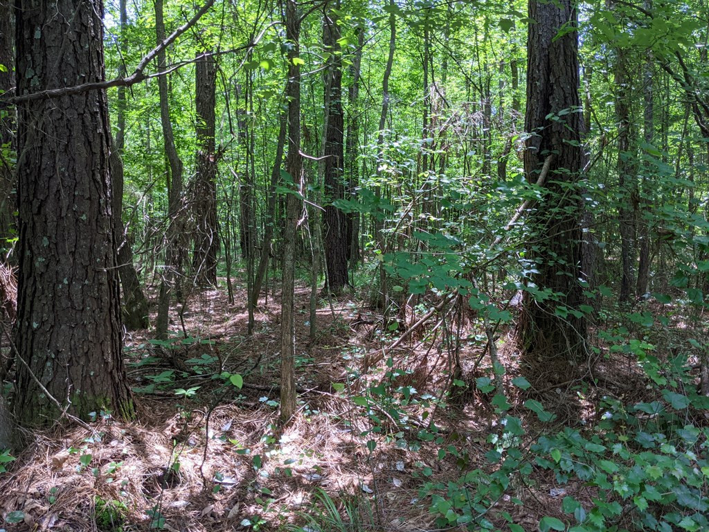 461 East St Stephens Road Prentiss, MS 39474 - Photo 19 of 50 Photo 19