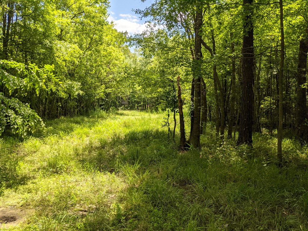 461 East St Stephens Road Prentiss, MS 39474 - Photo 20 of 50 Photo 20
