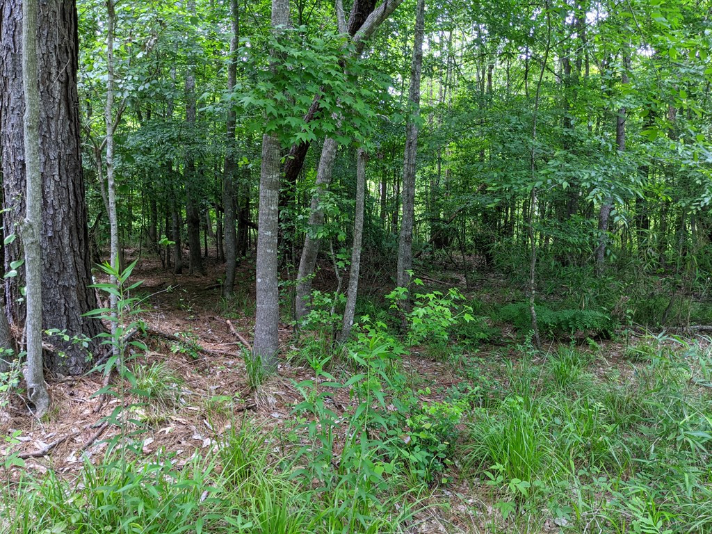461 East St Stephens Road Prentiss, MS 39474 - Photo 24 of 50 Photo 24