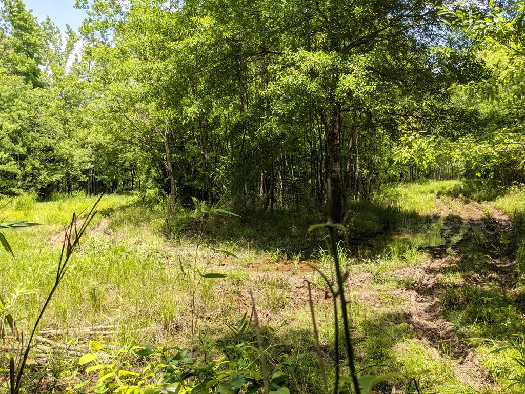 461 East St Stephens Road Prentiss, MS 39474 - Photo 26 of 50 Photo 26