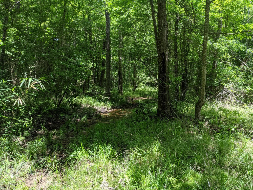 461 East St Stephens Road Prentiss, MS 39474 - Photo 29 of 50 Photo 29