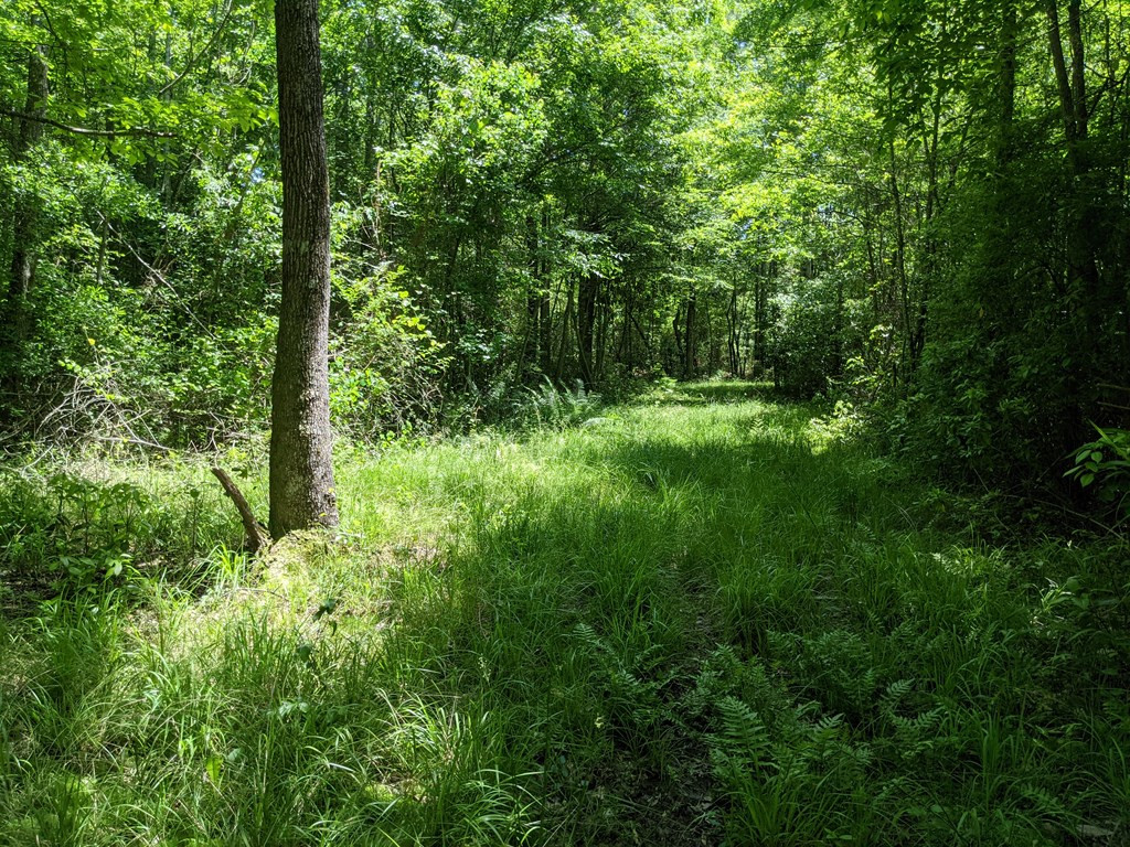 461 East St Stephens Road Prentiss, MS 39474 - Photo 30 of 50 Photo 30