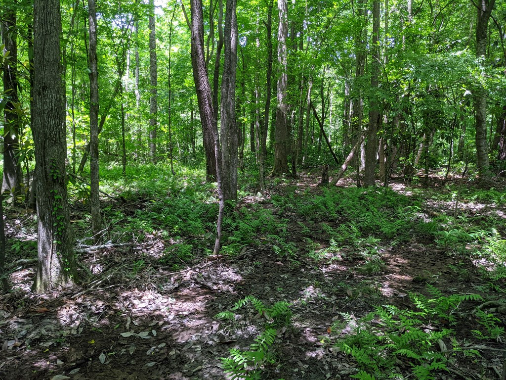 461 East St Stephens Road Prentiss, MS 39474 - Photo 31 of 50 Photo 31