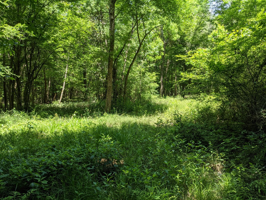 461 East St Stephens Road Prentiss, MS 39474 - Photo 39 of 50 Photo 39