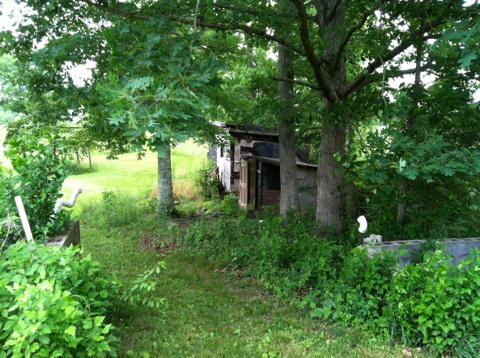 1764 Lowe Road Crossville, TN 38572 - Photo 14 of 16 Sheds Back of Property