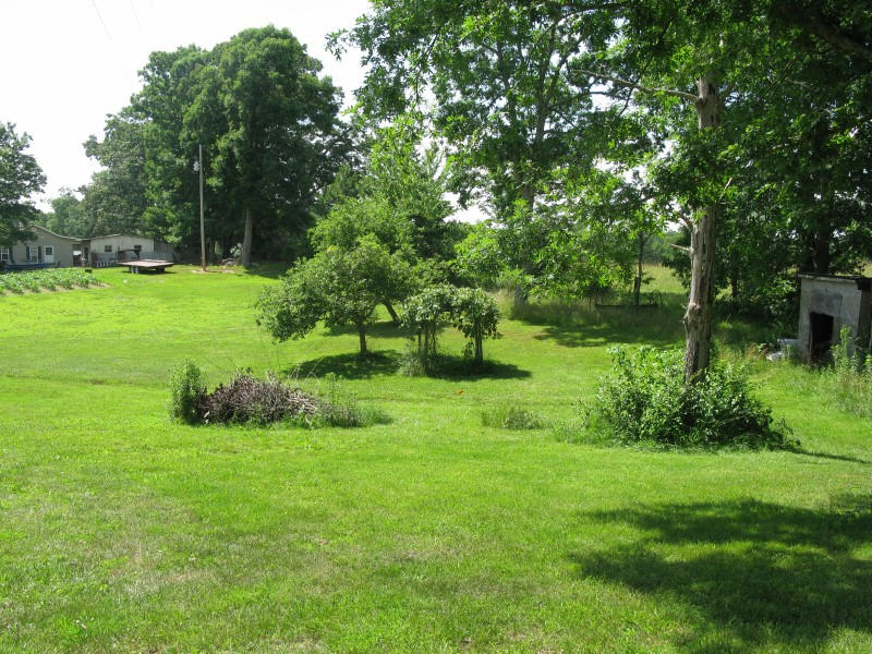 1764 Lowe Road Crossville, TN 38572 - Photo 15 of 16 Fruit Trees, Grape Vines and Garden