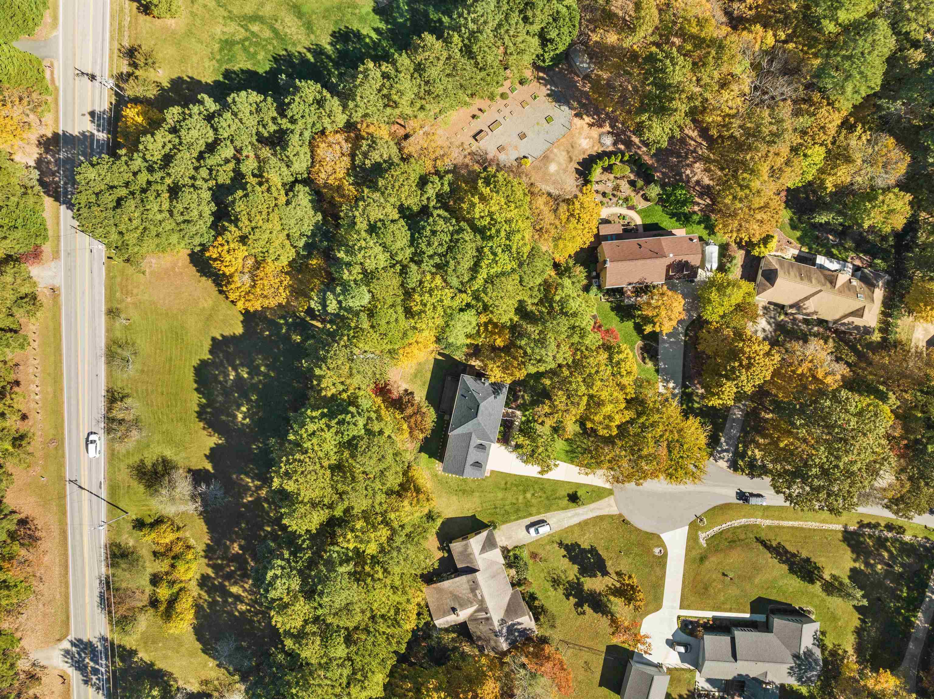 3000 Daventry Lane Raleigh, NC 27613 - Photo 48 of 54 a picture of a tree