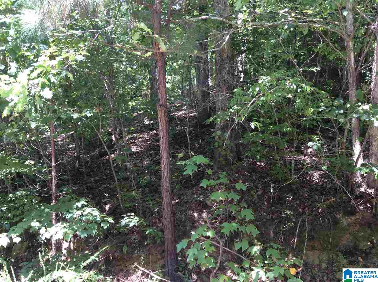 0 Rolling Hills Drive, Unit TRACT 2A Springville, AL 35146 - Photo 6 of 8