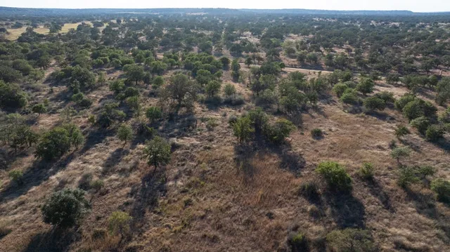 a view of a forest with a lake