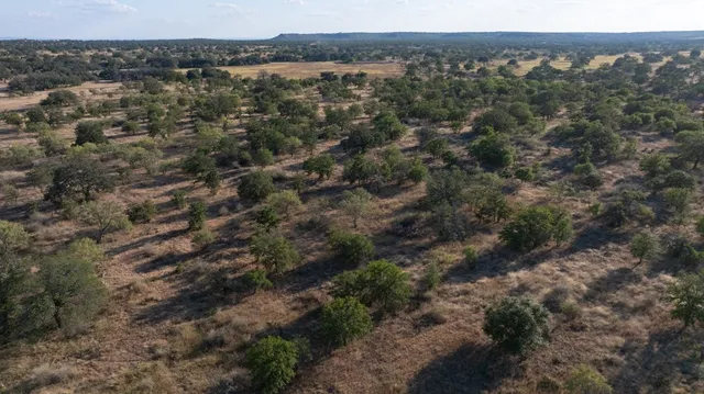 a view of a large trees