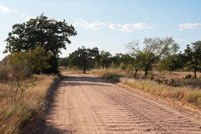 a view of lake with lots of tress in background