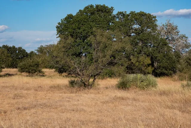 a view of a lake view
