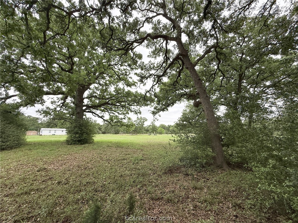 Tbd Wannabe Road Bryan, TX 77808 - Photo 19 of 25 a view of yard with trees