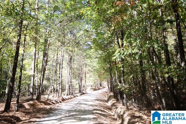 0 County Road 928, Unit 19 Delta, AL 36258 - Photo 16 of 43