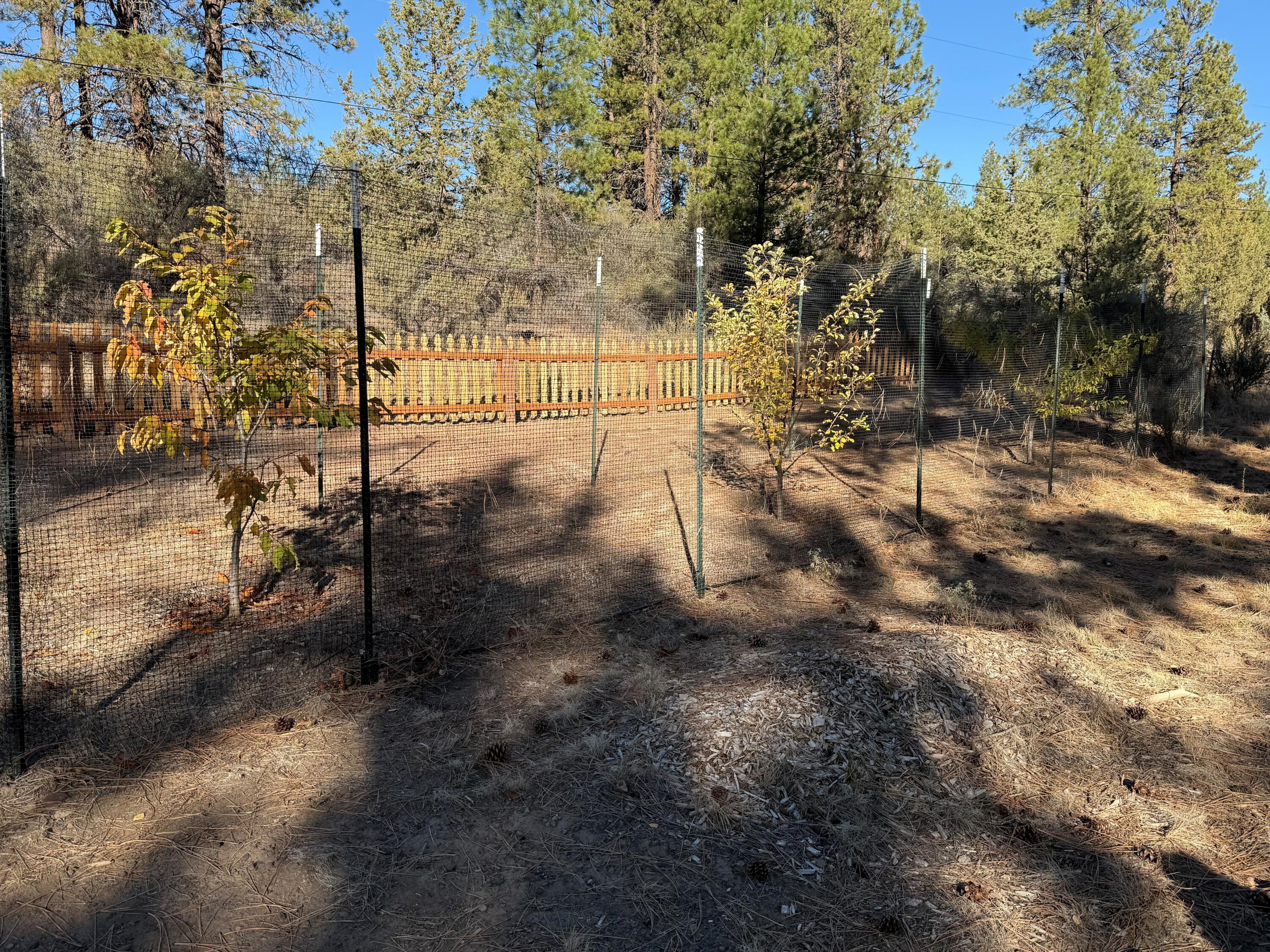 7623 Prairie Dog Drive Bonanza, OR 97623 - Photo 32 of 51 Fruit Trees