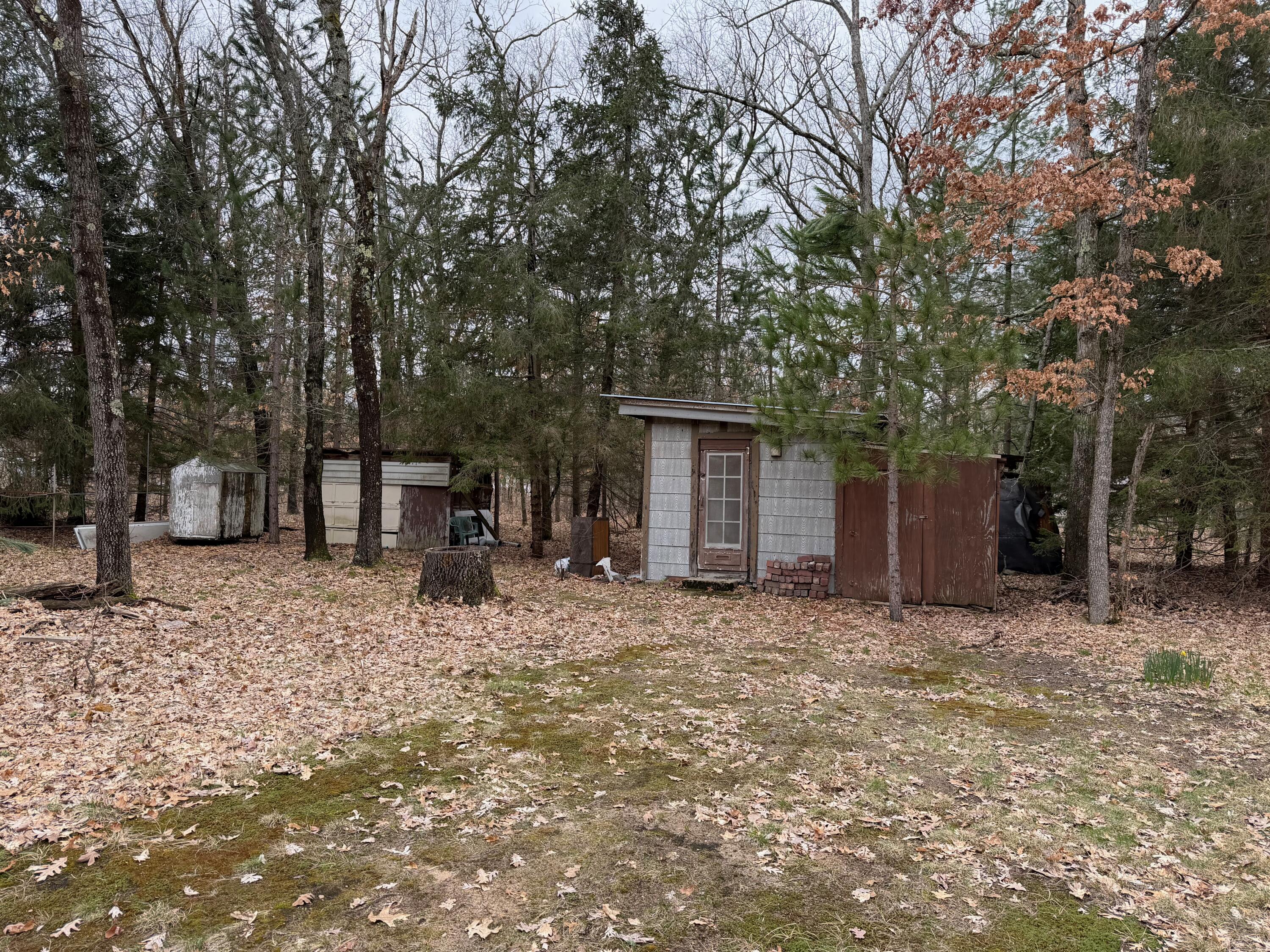10697 North Java Road Irons, MI 49644 - Photo 6 of 17 IMG_0746
