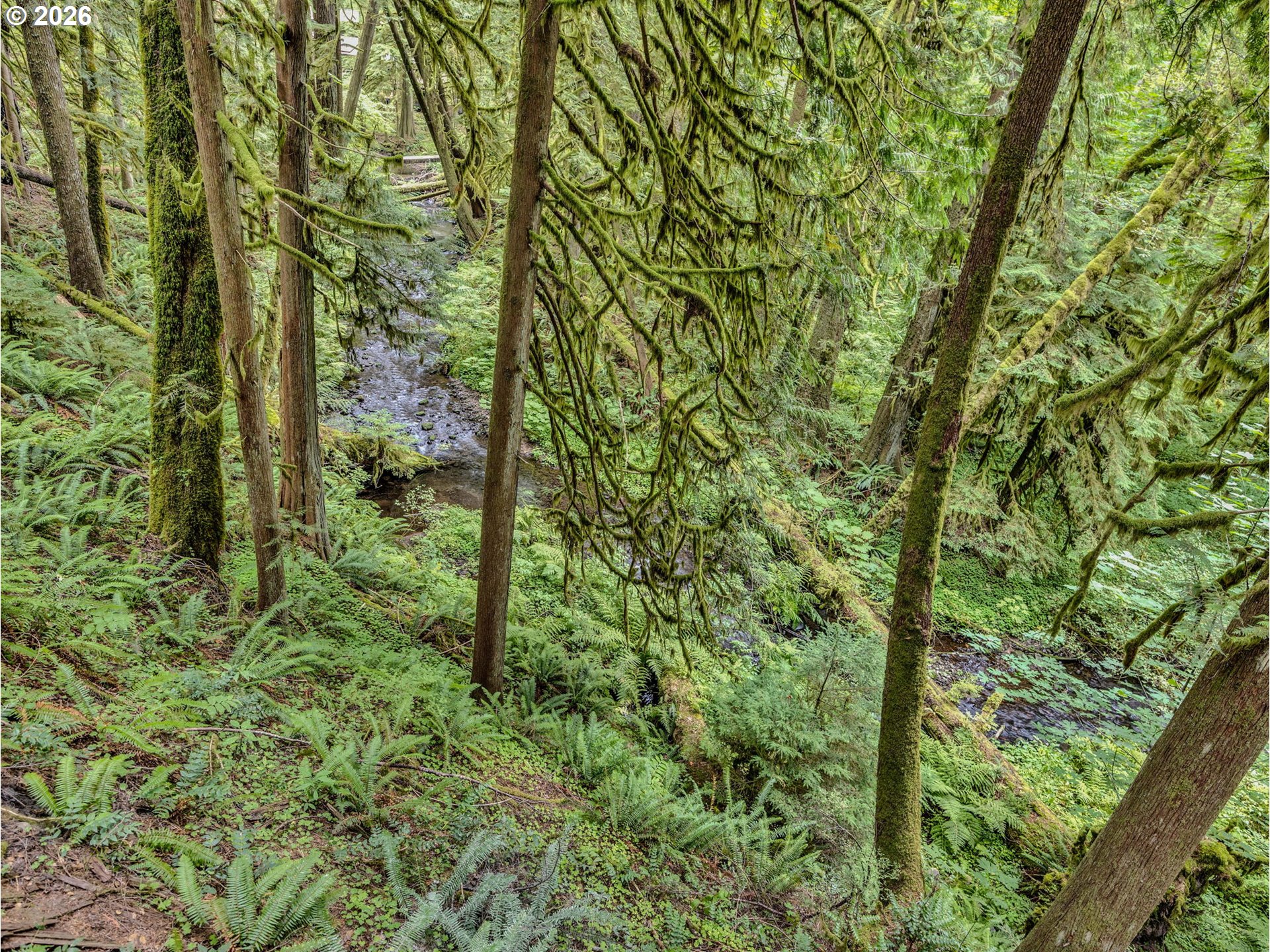 26467 East Henry Creek Road Rhododendron, OR 97049 - Photo 2 of 44