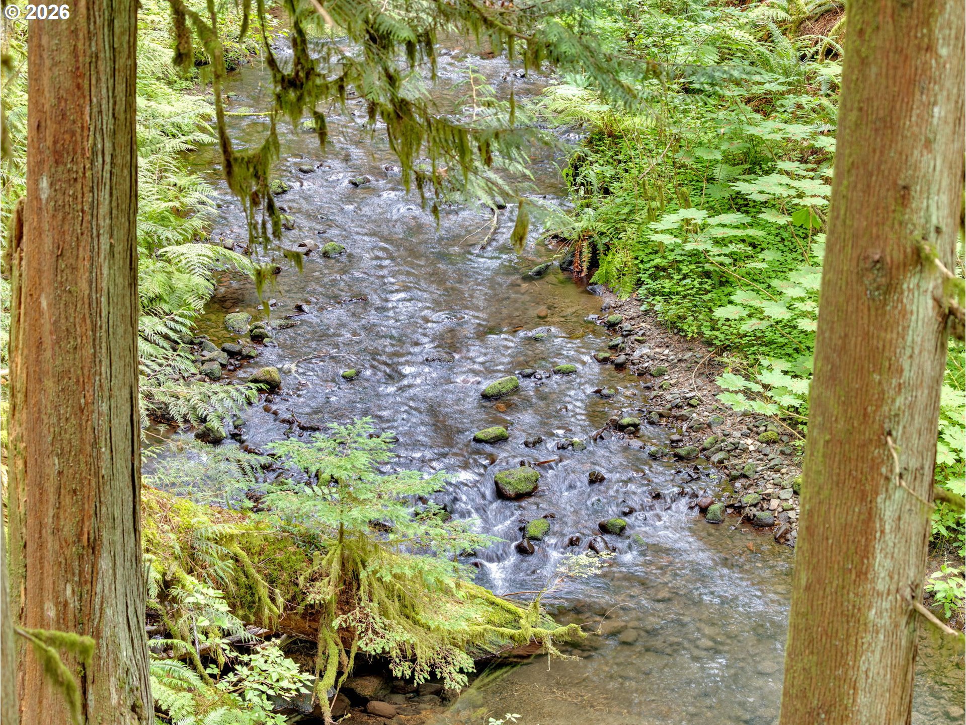 26467 East Henry Creek Road Rhododendron, OR 97049 - Photo 3 of 44