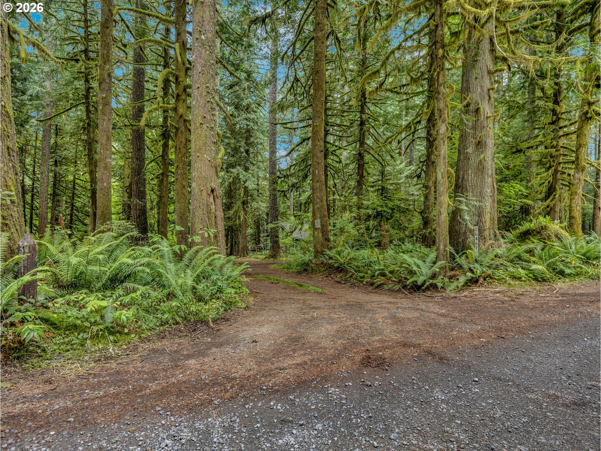 26467 East Henry Creek Road Rhododendron, OR 97049 - Photo 42 of 44
