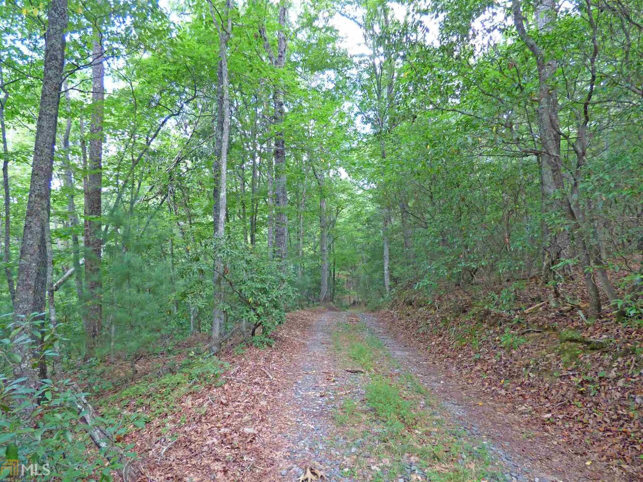10 Doublehead Gap Road Blue Ridge, GA 30513 - Photo 1 of 1 Gallery Image 1