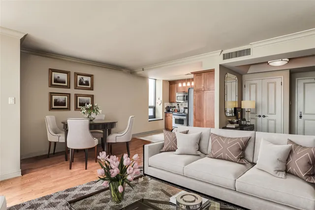 a living room with furniture and a potted plant