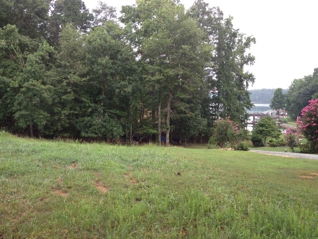Lot 109 Lakestone Road Union Hall, VA 24176 - Photo 2 of 5 Lot 109 View
