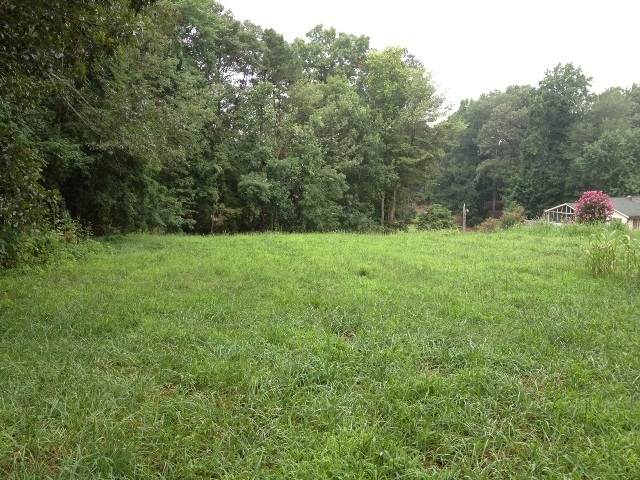 Lot 109 Lakestone Road Union Hall, VA 24176 - Photo 3 of 5 Lot 109 clearing