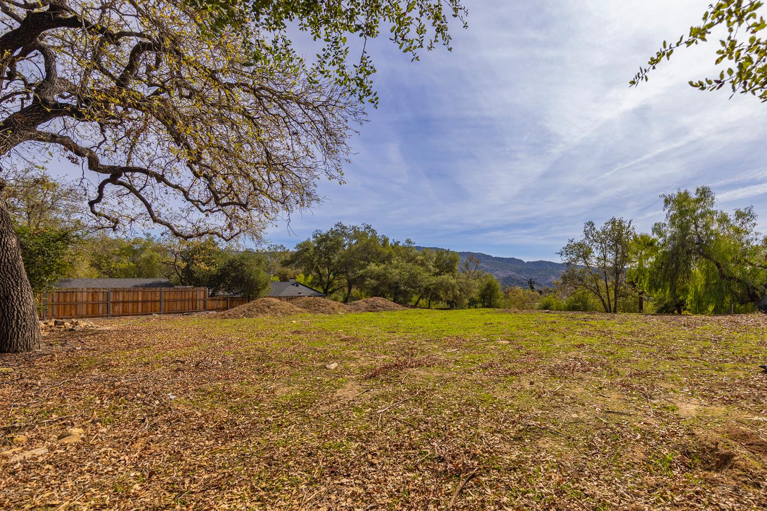 1090 Cuyama Road Ojai, CA 93023 - Photo 3 of 11 a view of large trees with a yard
