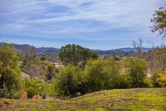 a view of a yard with a house