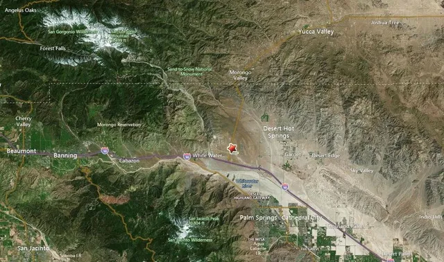 a view of a yard with plants and large trees