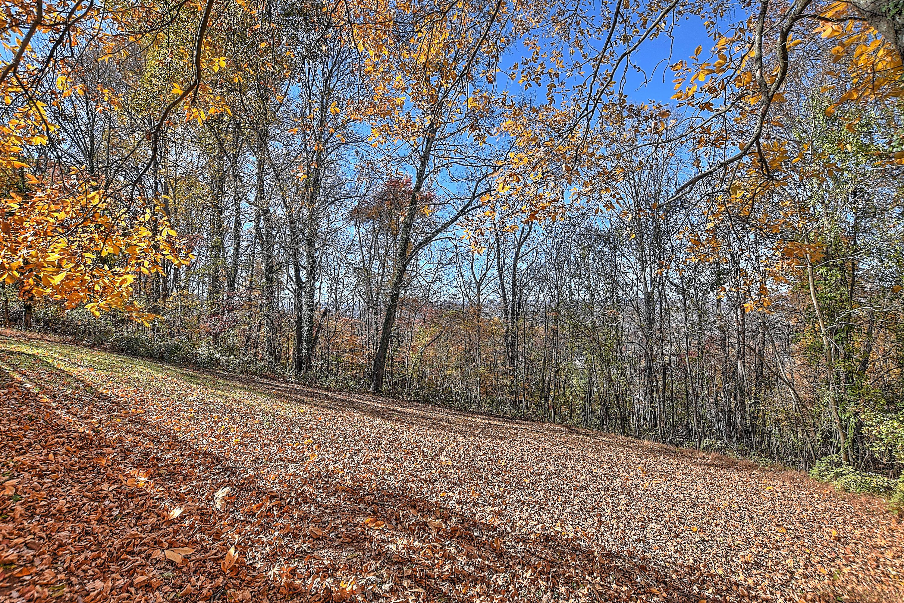4598 Old Stage Road Kingsport, TN 37664 - Photo 34 of 34 4598 Old Stage Rd-34