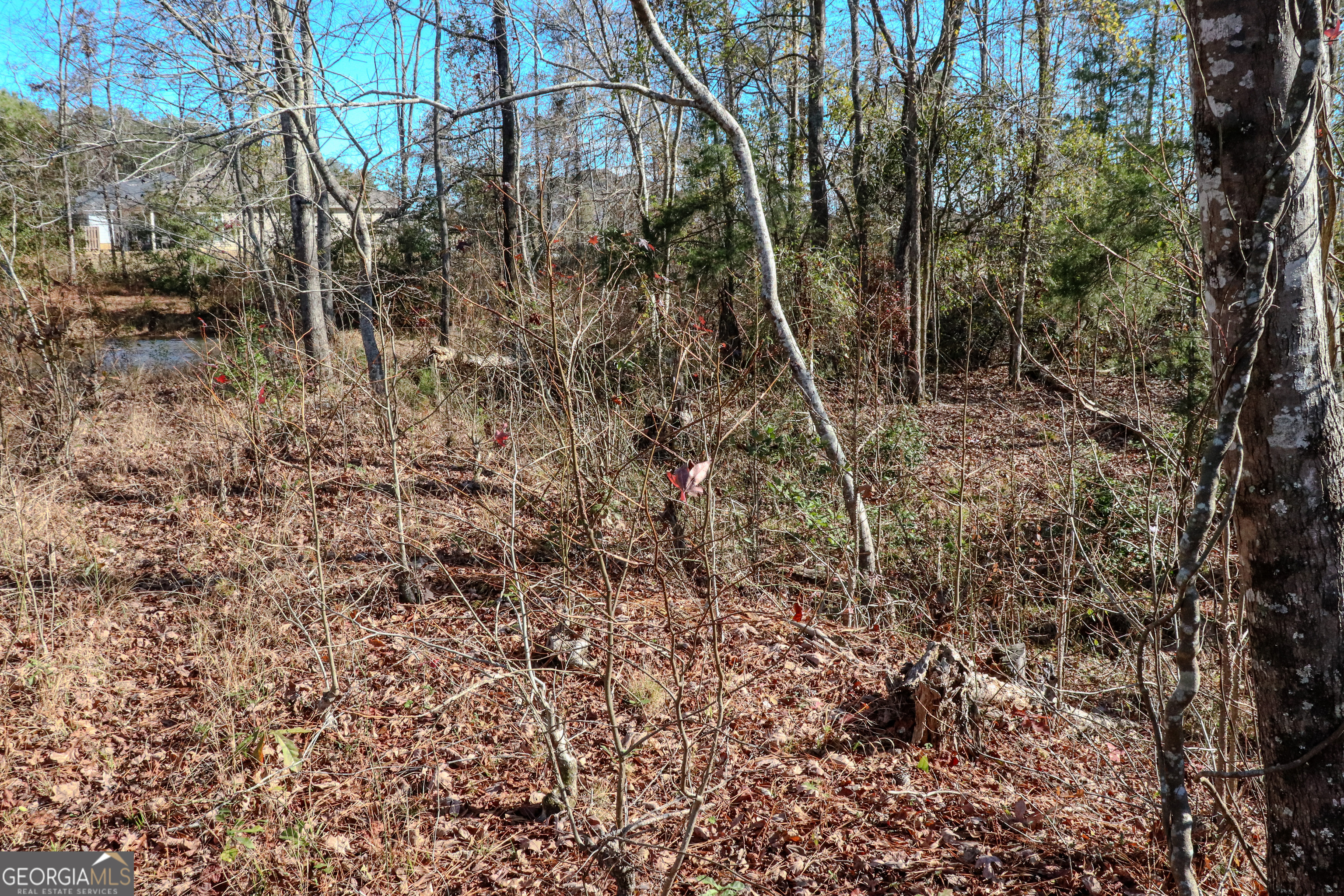 0 Hamilton Road Grovetown, GA 30813 - Photo 12 of 16 a view of a forest with trees