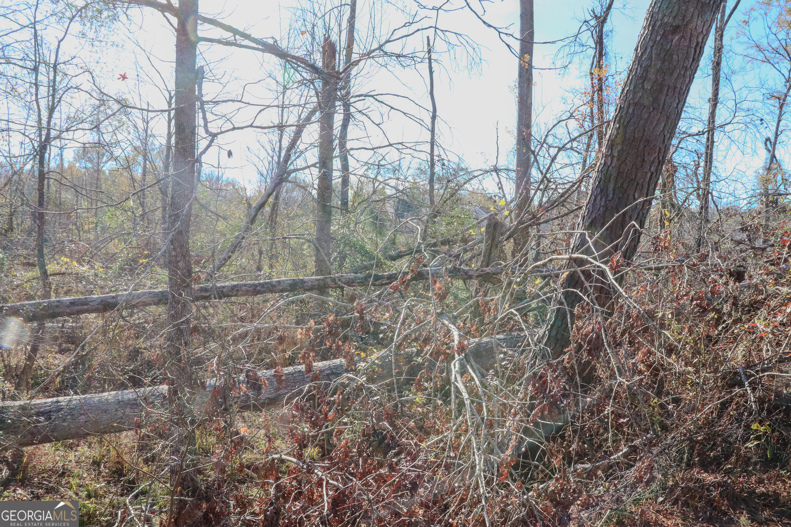 0 Hamilton Road Grovetown, GA 30813 - Photo 14 of 16 a backyard of a house with lots of green space