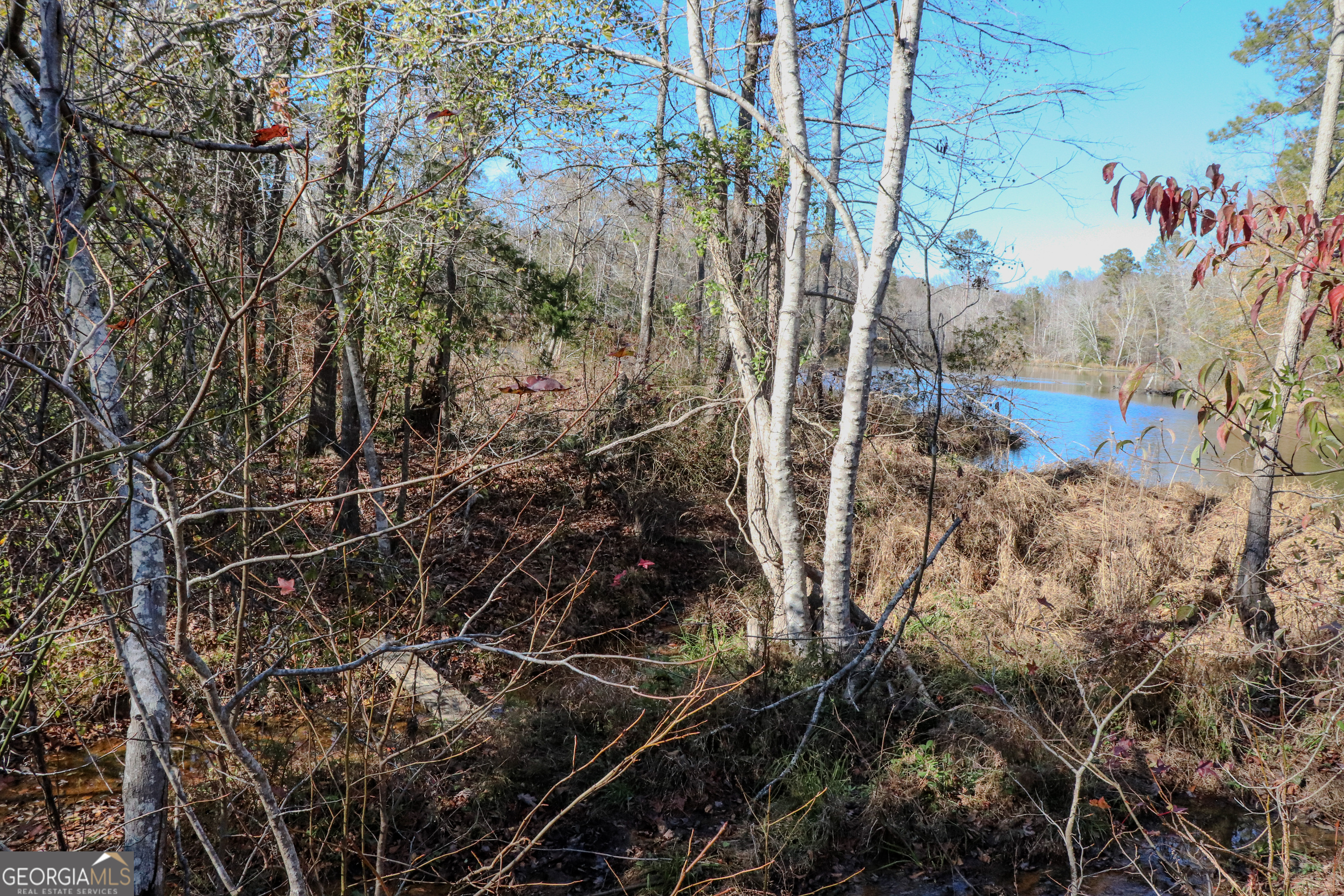 0 Hamilton Road Grovetown, GA 30813 - Photo 5 of 16 a view of a backyard of the house